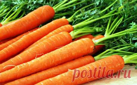 10 продуктов для красивого загара (с солнцем и без)