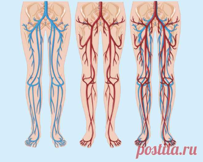 Простые упражнения от застоя крови Упражнения для ног способны приостановить развитие варикоза, устранить симптомы недостаточности венозных сосудов, предотвратить возникновение осложнений.