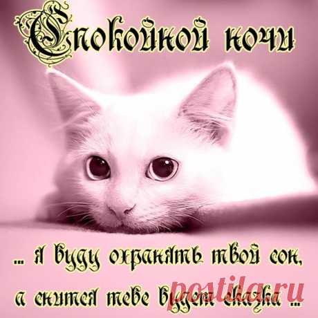 Стихи - пожелания спокойной ночи любимой девушке (21 картинка) ⭐ Забавник
