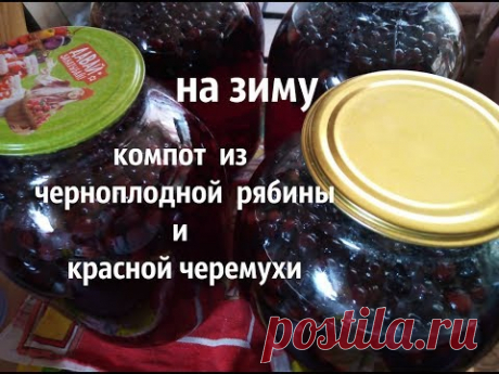 КОМПОТ из ЧЕРНОПЛОДНОЙ РЯБИНЫ и КРАСНОЙ ЧЕРЕМУХИ