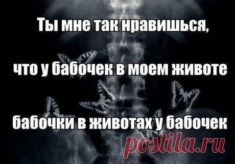 Про буквы, от которых полетели бабочки. Бывает же такое…
Иногда хочется написать не об угнетающей лирической действительности и дяденьках из средневековья,...
Читай дальше на сайте. Жми подробнее ➡