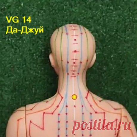 Атлас Pdf 30 важнейших точек в Instagram: «VG 14 (да-джуй)  Большой Позвонок Точка ДА-ДЖУЙ — точка хорошего настроения, является точкой заднесрединного меридиана, размещена на шее…»