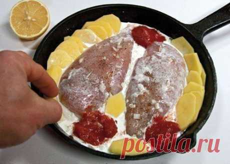 Куриные грудки, запеченные в сливках под сыром