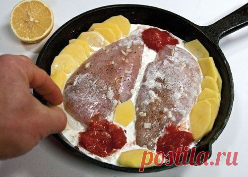 Куриные грудки, запеченные в сливках под сыром