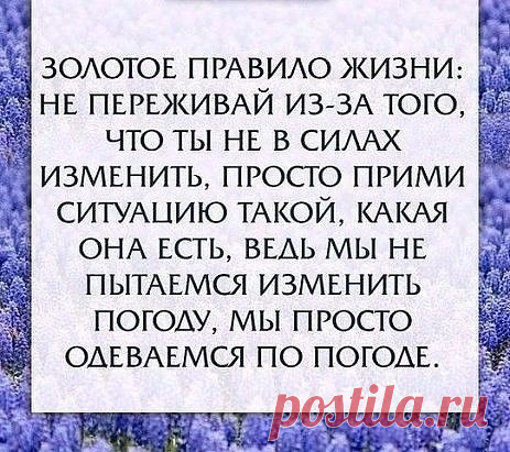 Феликс Чуев * * * И все же ты придешь на то же место в... | Интересный контент в группе Красивые стихи и многое другое.
