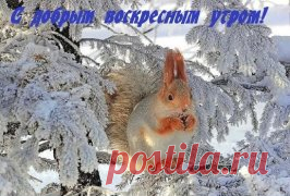 (25) Одноклассники