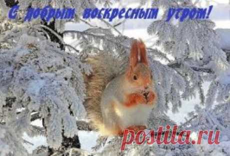 (25) Одноклассники