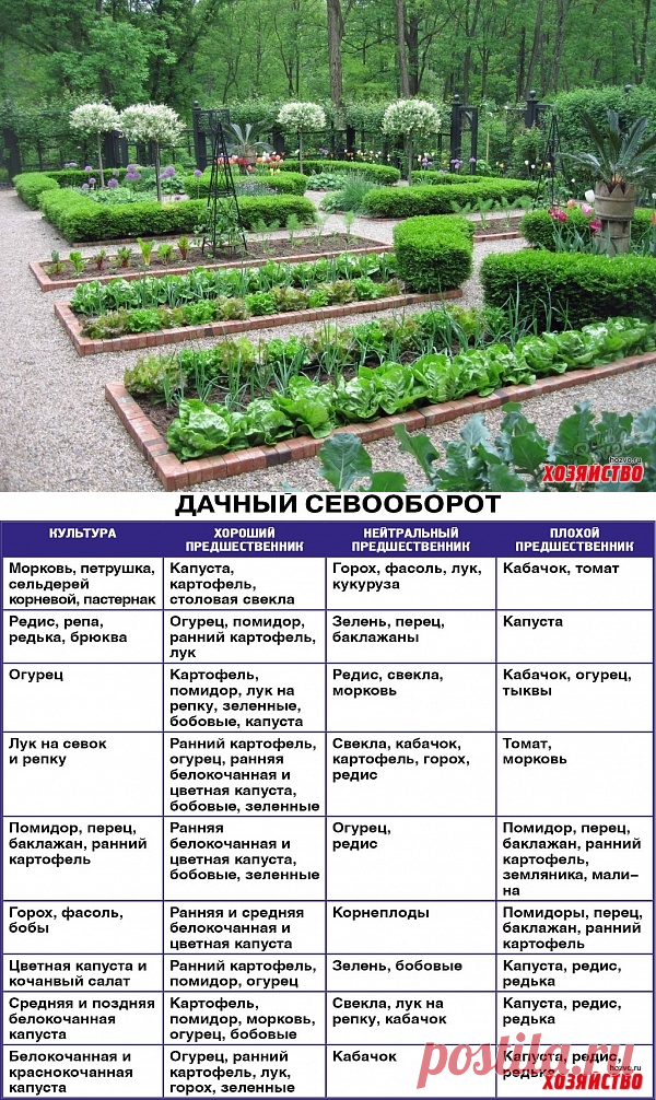Схема посадки овощей и зелени