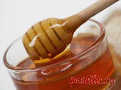 Как определить качество мёда | Советник