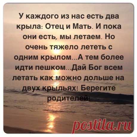 (49) Одноклассники