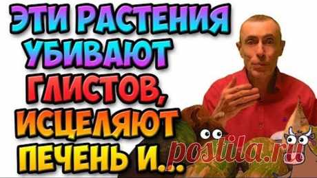ЧЕЛОВЕК ПЕРЕСТАЕТ ГНИТЬ ЗАЖИВО! И ВОТ ПОЧЕМУ... Виталий Островский! Глисты, паразиты в человеке.