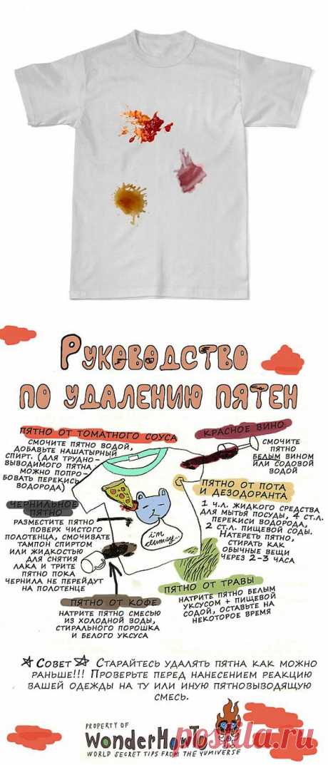 Как выводить разные пятна (инфографика) / Ремонт одежды /