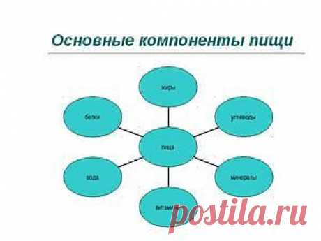 Белки, жиры и углеводы: сколько нужно организму?