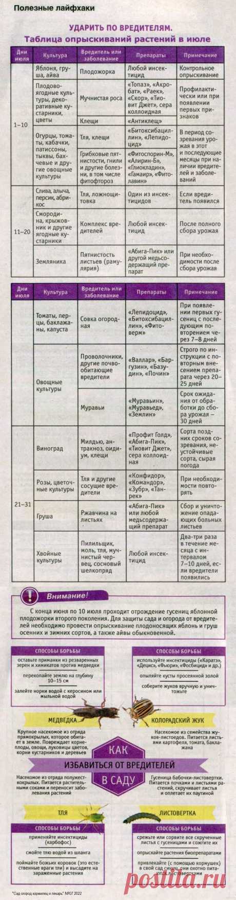 Ударить по вредителям (таблица опрыскивания растений в июле)