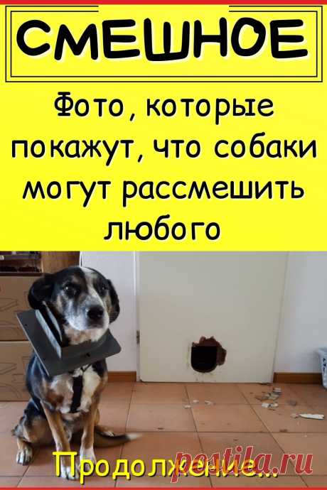 Картинка которая рассмешит любого