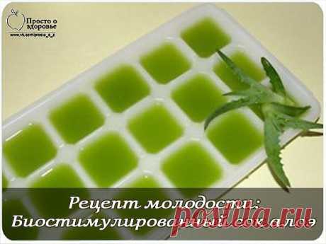 Рецепт молодости -  биостимулированный сок алоэ.