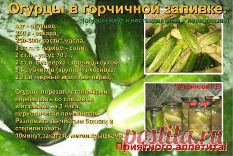 погребок | 37 фотографий