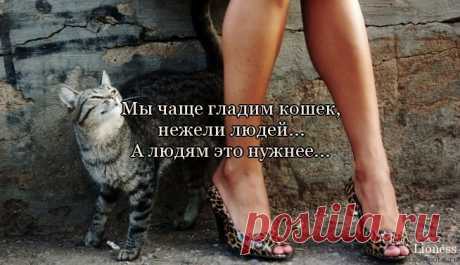 Мысль.