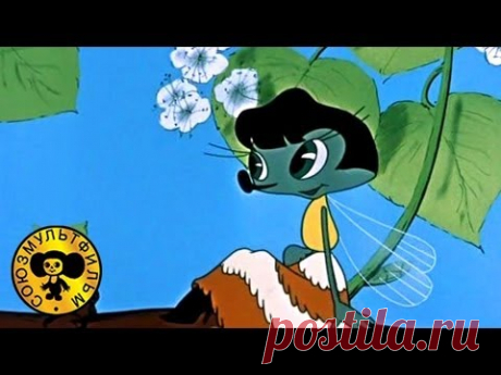 Мультики: Муха-Цокотуха