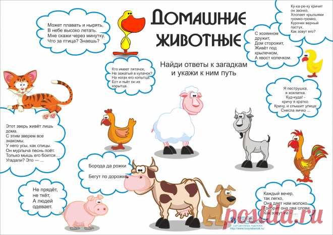 Развивающие картинки (39 фото) ⭐ Забавник