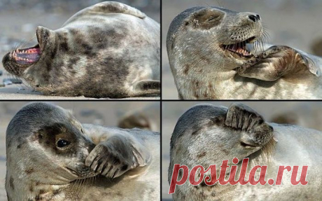 Фотоприколы!!!.