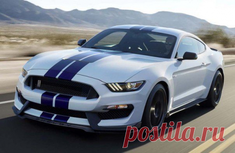 Ford Shelby GT350R