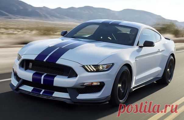 Ford Shelby GT350R