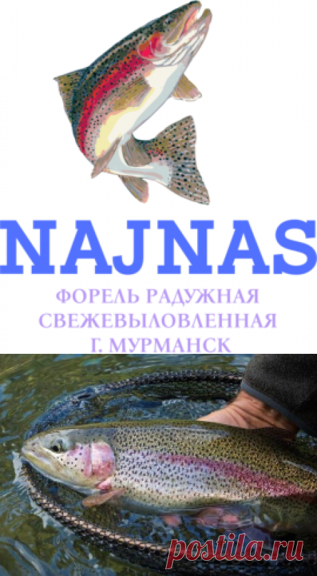 Купить форель https://najnas.ru
Форель радужная свежевыловленная охлажденная Мурманск | Цена