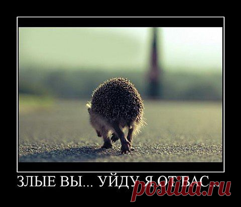 это на случай если забанят