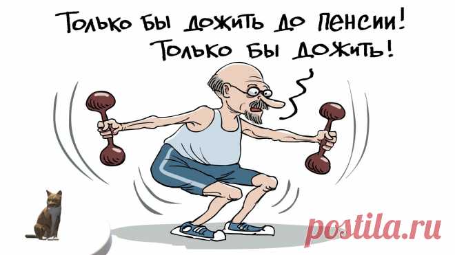 ООО «Алиса и Базилий», или Поле чудес под названием «Новая программа софинансирования пенсий» ждет дураков Здравствуйте, Уважаемый Читатель.Ну что ж - на арене нашего цирка новый 