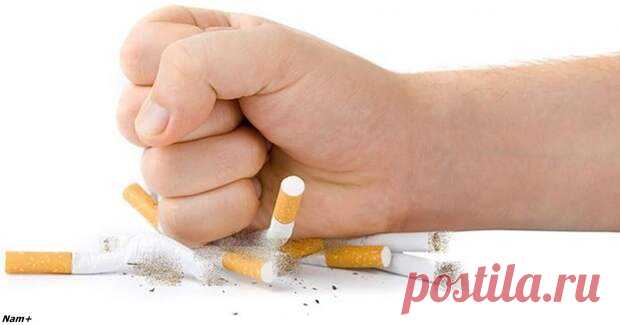 Чтобы заболеть раком лёгких, хватит всего 6 месяцев курения
Плохая новость для курильщиков. Казалось бы, все давно знают, что курение может вызвать рак лёгких. Об этом даже пишут на сигаретных пачках! Но люди всё равно продолжают курить — и болеть раком лёгких. Чем дольше и чаще вы курите, тем выше риск развития рака, говорят врачи. Сигаретный дым содержит более 7 000 веществ, многие из которых […]
Читай дальше на сайте. Жми подробнее ➡
