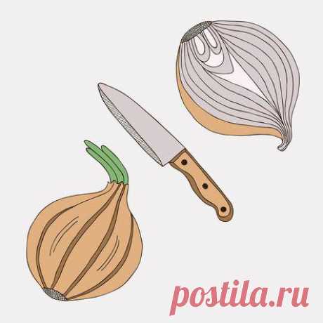 Одно из самых ярких впечатлений про лук, конечно же, родом из детства. Помню, как в младших классах на уроке труда весь класс дружно готовил винегрет. Так получилось, что непростая миссия нарезки лука выпала на долю моего друга, очень хрупкого и утонченного мальчика, настоящего аристократа. Он плакал всерьез: поток слёз было не остановить. Он даже не […]
