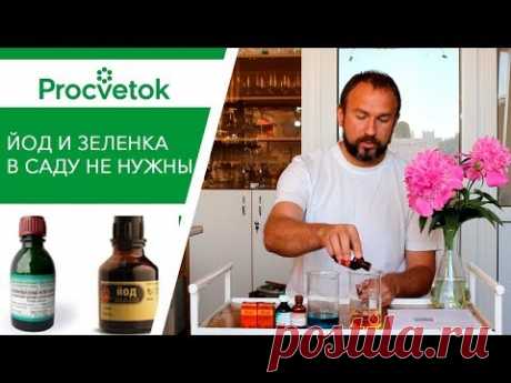 Иван Русских - ролики на ютубе. Дачный. Основной.