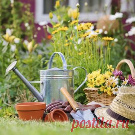 35 способов борьбы с улитками 1