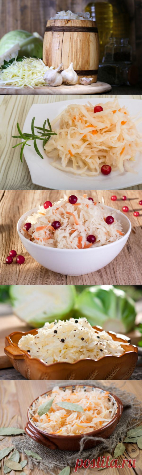 Рецепты квашеной капусты на зиму