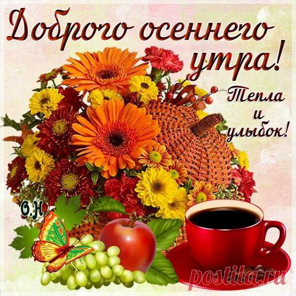 Открытка 