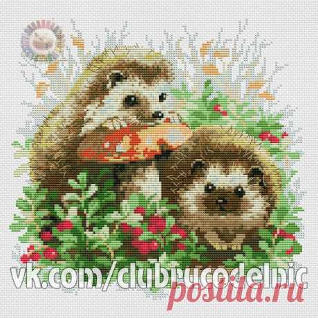 в/к Ежики