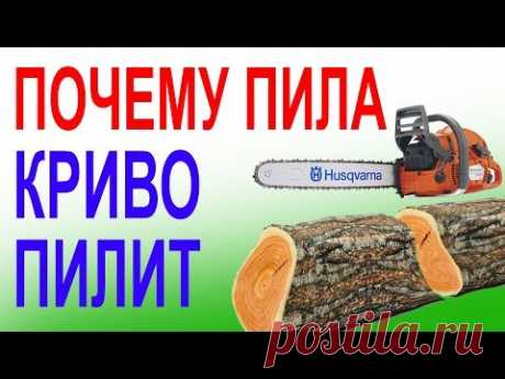 Миллионы бензопил криво пилят от этого. ТОП неисправностей  шины и цепи