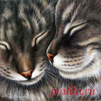 Кошки художницы Ирины Гармашовой.