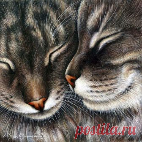 Кошки художницы Ирины Гармашовой.
