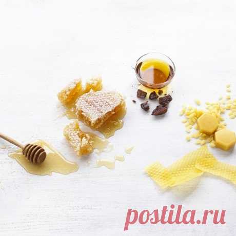 Мазь прополиса: показания, способы применения и приготовления.