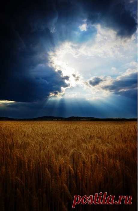 Kirill Gerusov – Google+