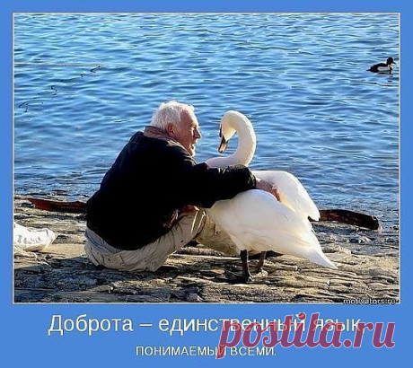будь добрым и тебя все поймут.....