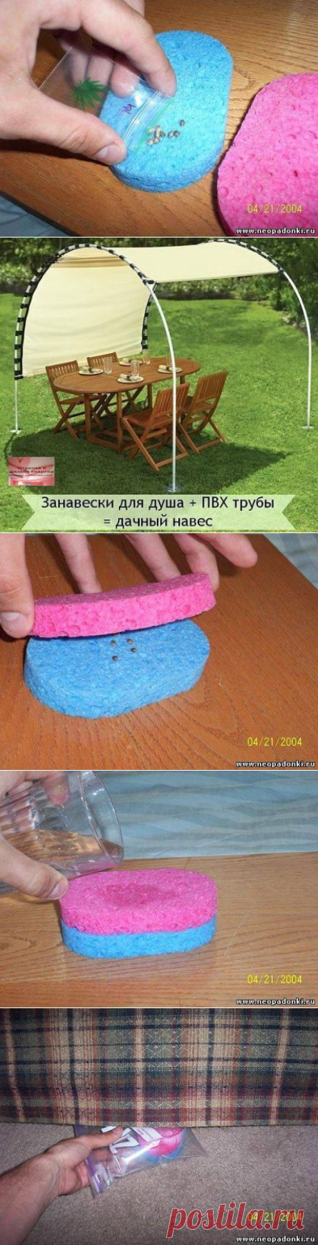 проращиваенм семена +навес из шторки для ванной