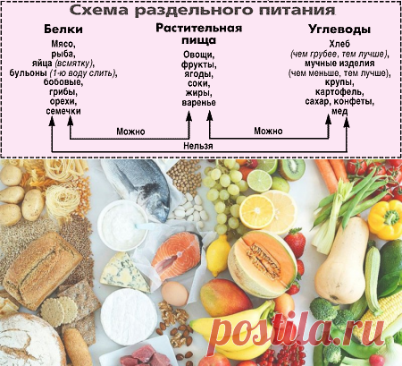 Белок в каких продуктах таблица для похудения Продукты богатые белком таблица для похудения CoffMachines.ru