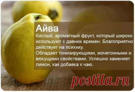 Энциклопедия фруктов в картинках