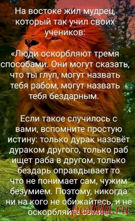 Выпуск №4309 - выпуск анекдотов сайта вокруг смеха
