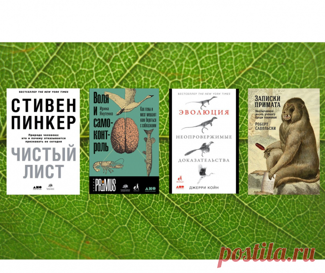 Издательство Альпина нон-фикшн - Главная