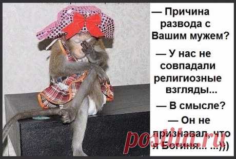 Согрею вас теплом улыбки...Улыбнемся?...
