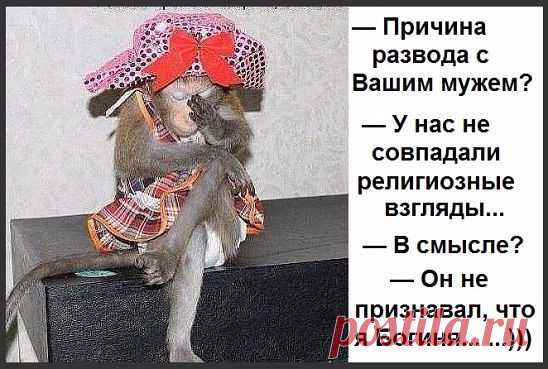 Согрею вас теплом улыбки...Улыбнемся?...